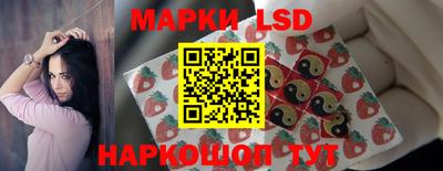 spice Дубна