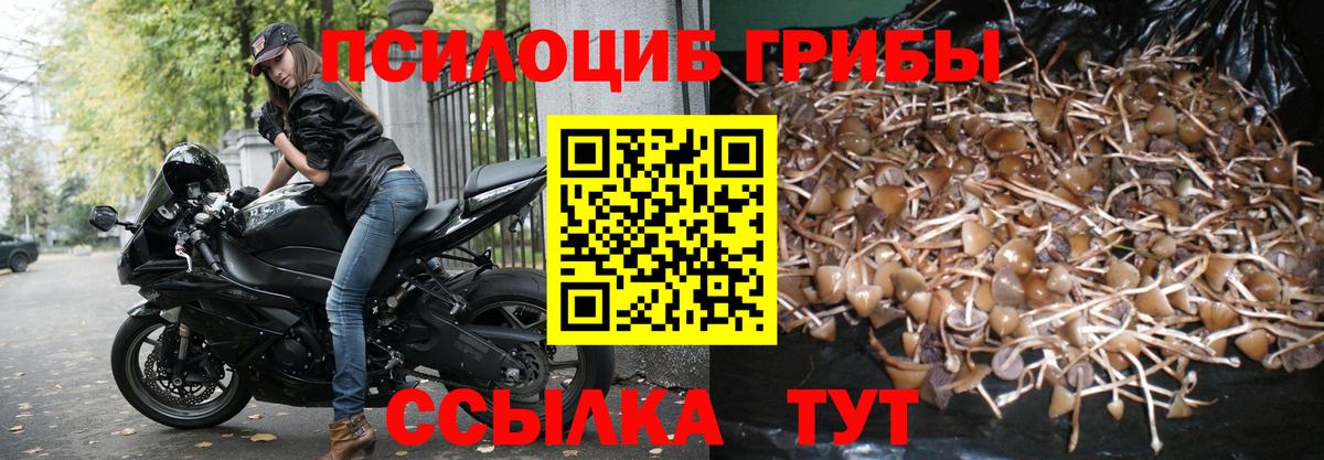 Псилоцибиновые грибы мухоморы Лангепас